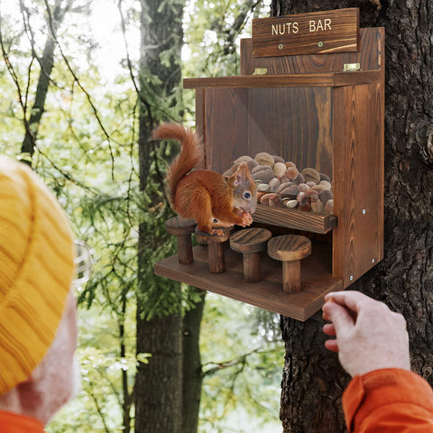 ANSTEEP cute squirrel bar garden feature adds charm and wildlife interaction.