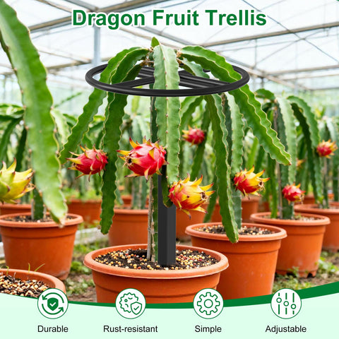ANTEQI trellis with weather-resistant coating resisting sun and rain