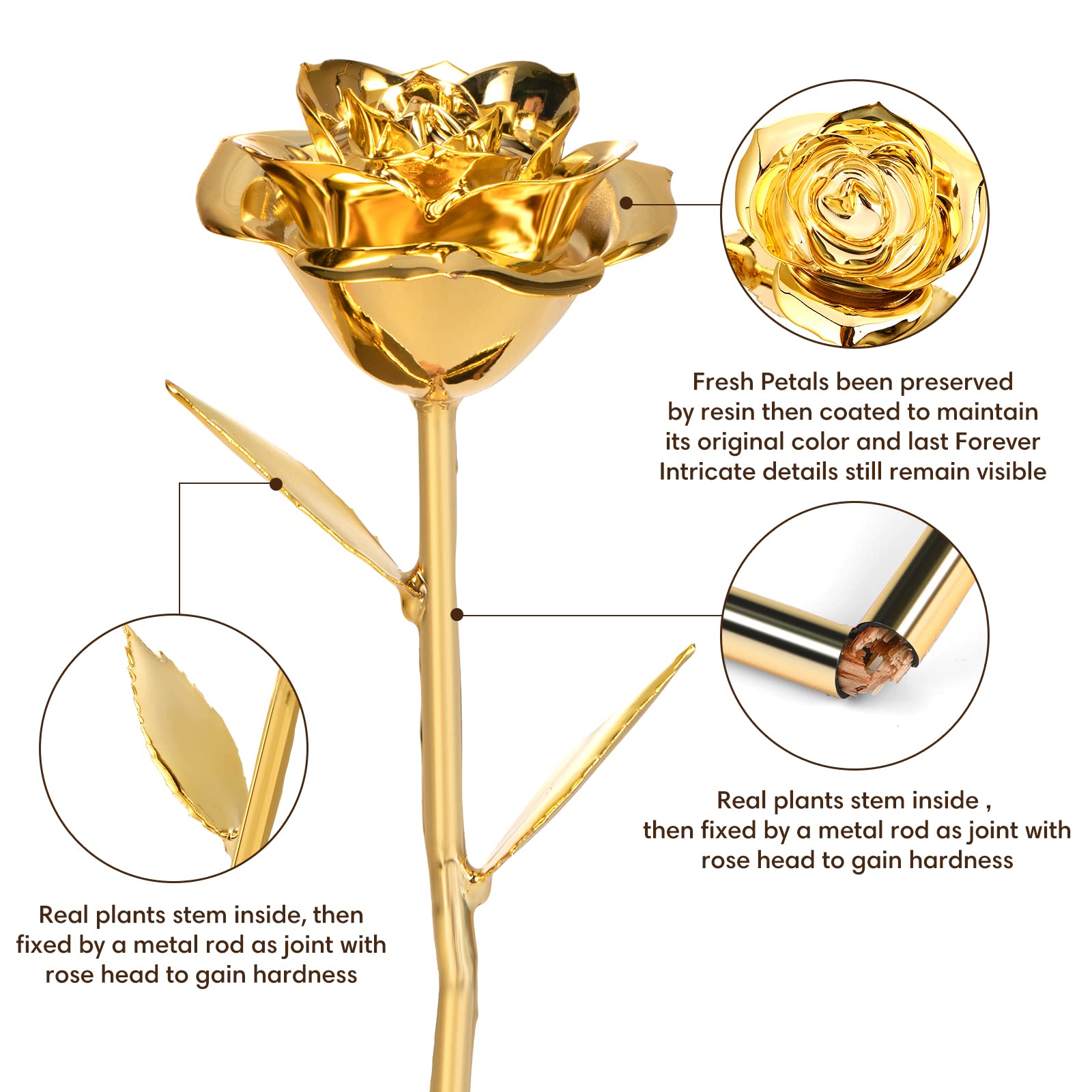 Anthonic gold-dipped rose texture detail reveals the 24K gold finish for heirloom quality.