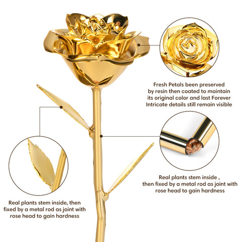 Anthonic gold-dipped rose texture detail reveals the 24K gold finish for heirloom quality.
