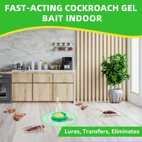 Antibugx long-lasting roach protection up to 1–3 months.