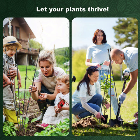 Easy setup for indoor and outdoor climbing plants without screws
