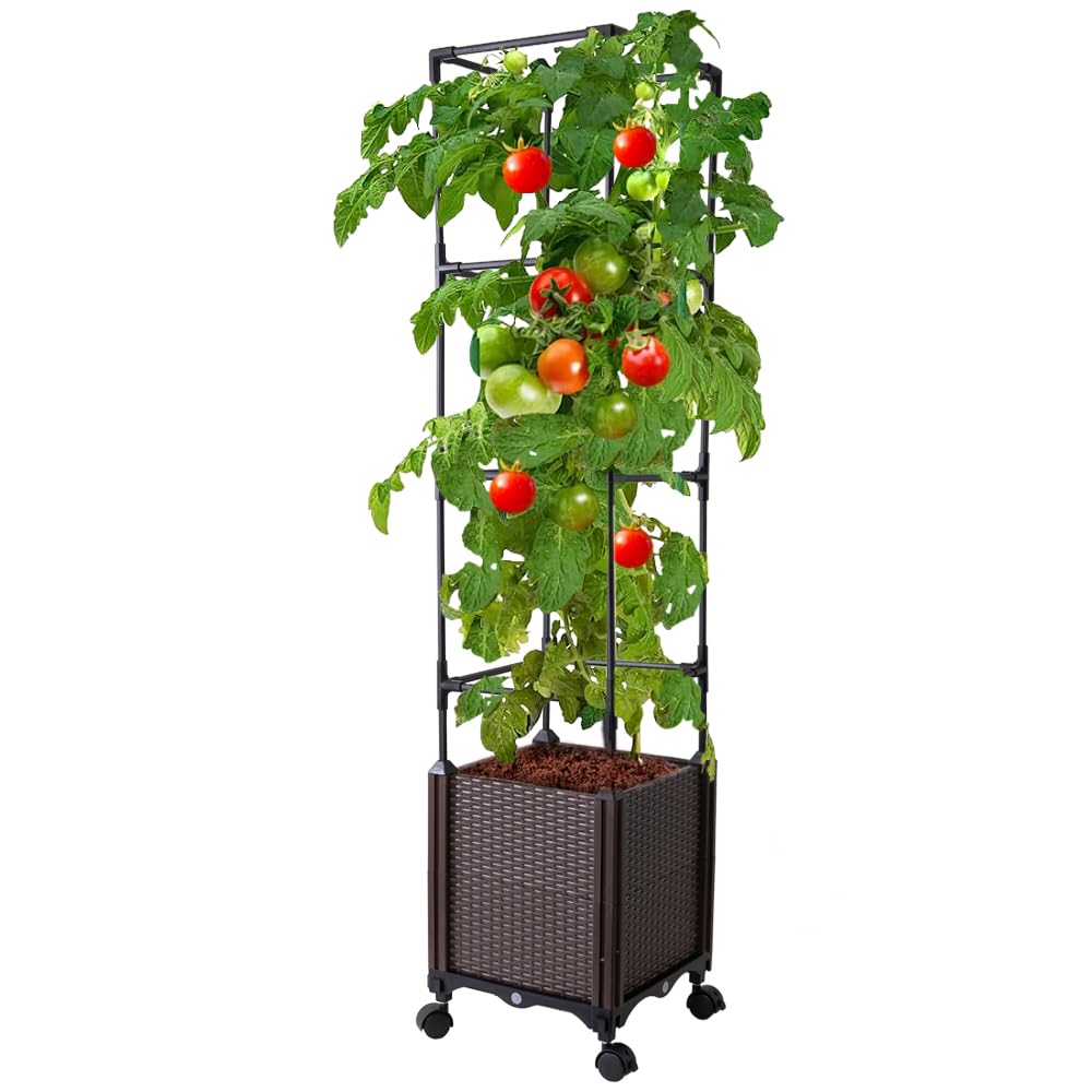 Antmoilios raised garden bed with trellis supporting vertical tomato growth.