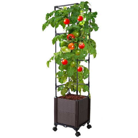 Antmoilios raised garden bed with trellis supporting vertical tomato growth.