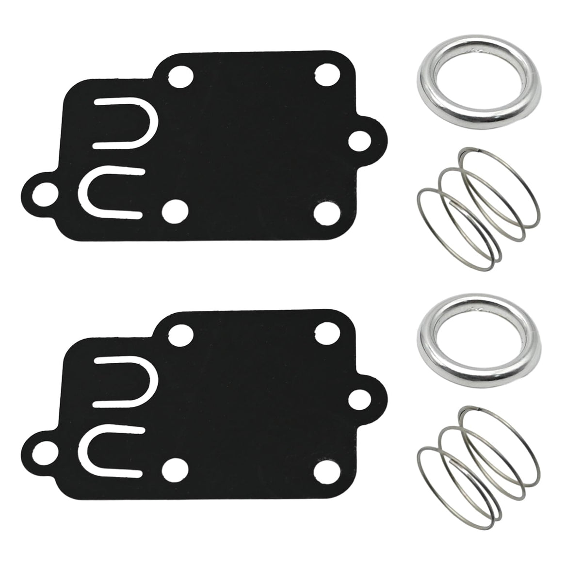 Anxingo 272538 diaphragm kit packaging for Briggs & Stratton service.