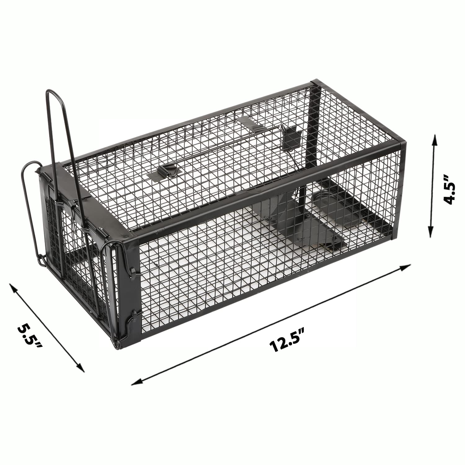Anyhall indoor outdoor use showcases versatile placement in garages, sheds, or yards