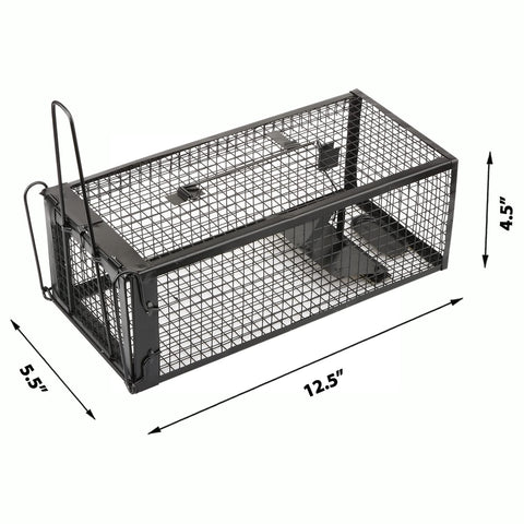 Anyhall indoor outdoor use showcases versatile placement in garages, sheds, or yards