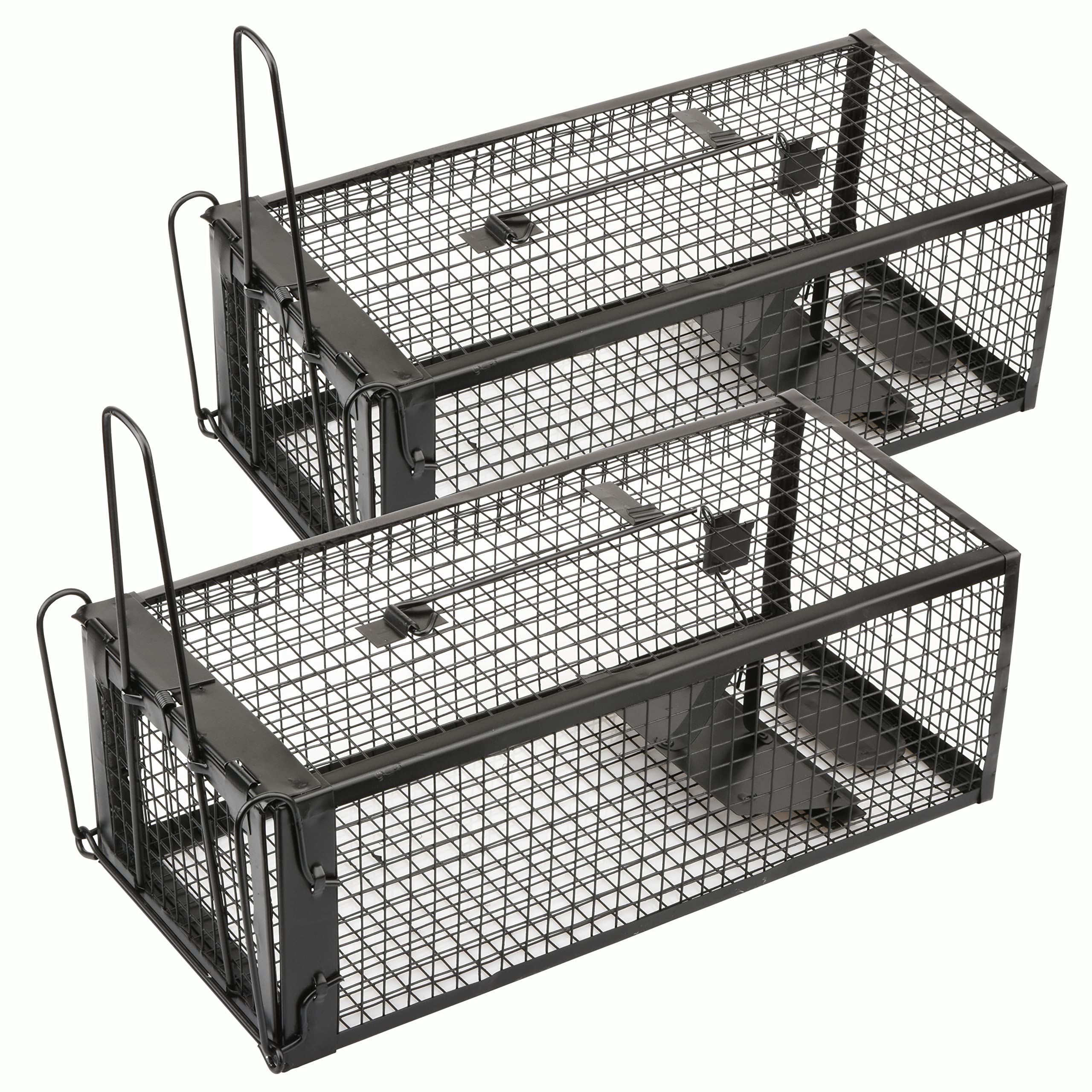 Anyhall 2-pack live trap inside view ready to capture rats or mice humanely