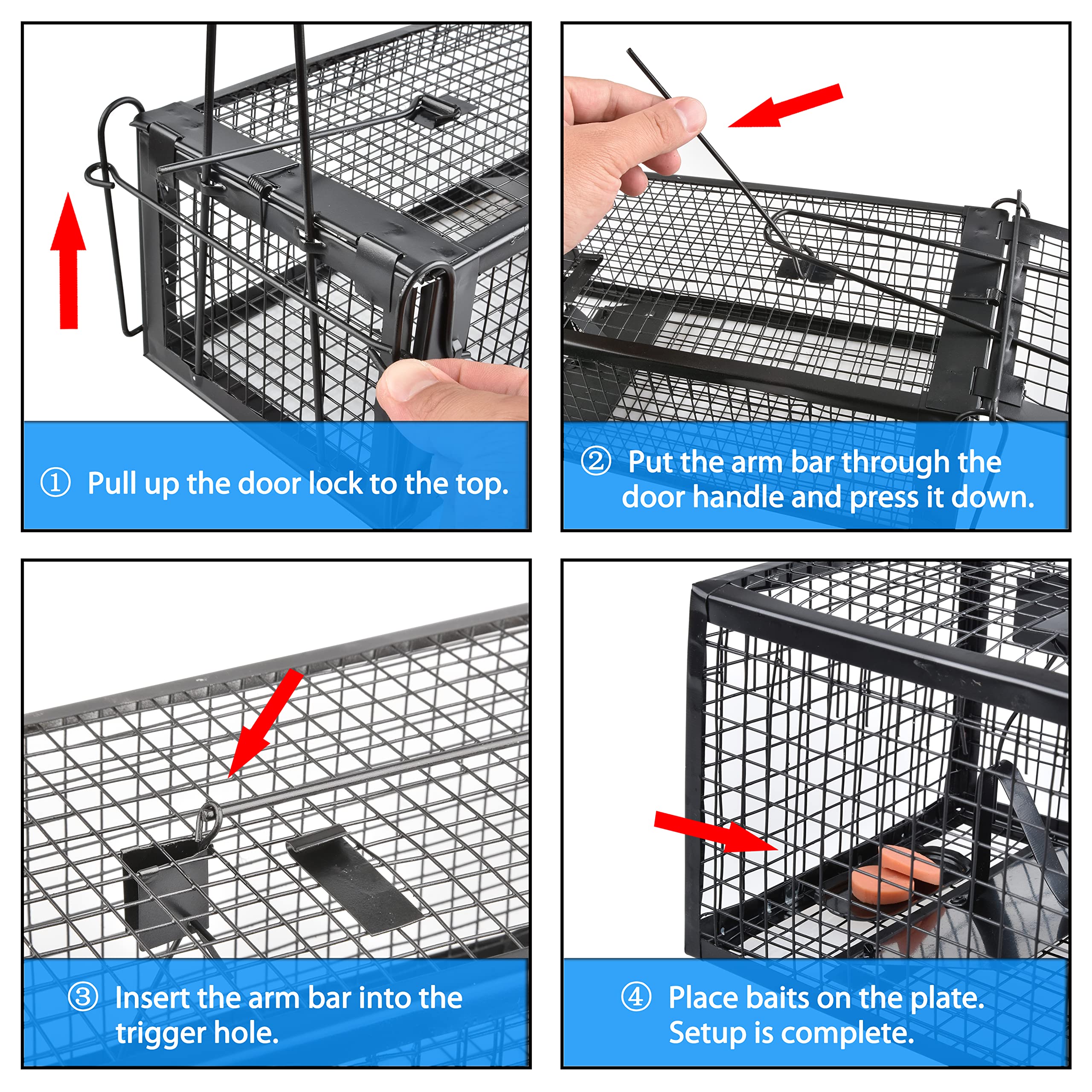 Anyhall release procedure guide for safe, humane relocation away from home