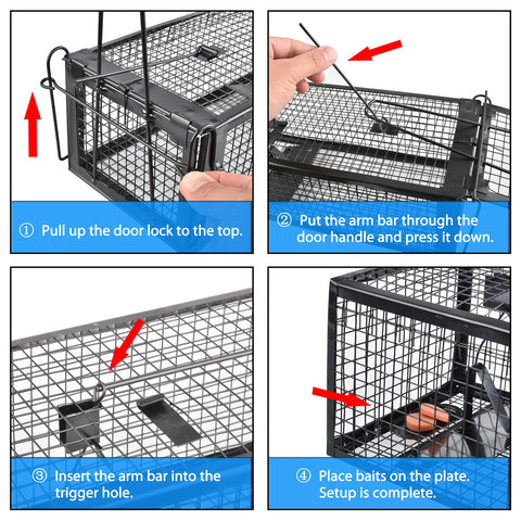 Anyhall release procedure guide for safe, humane relocation away from home