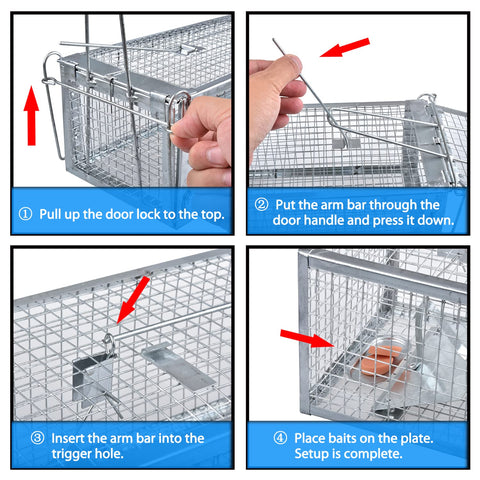 Anyhall two-pack setup in home or shed for humane relocation.