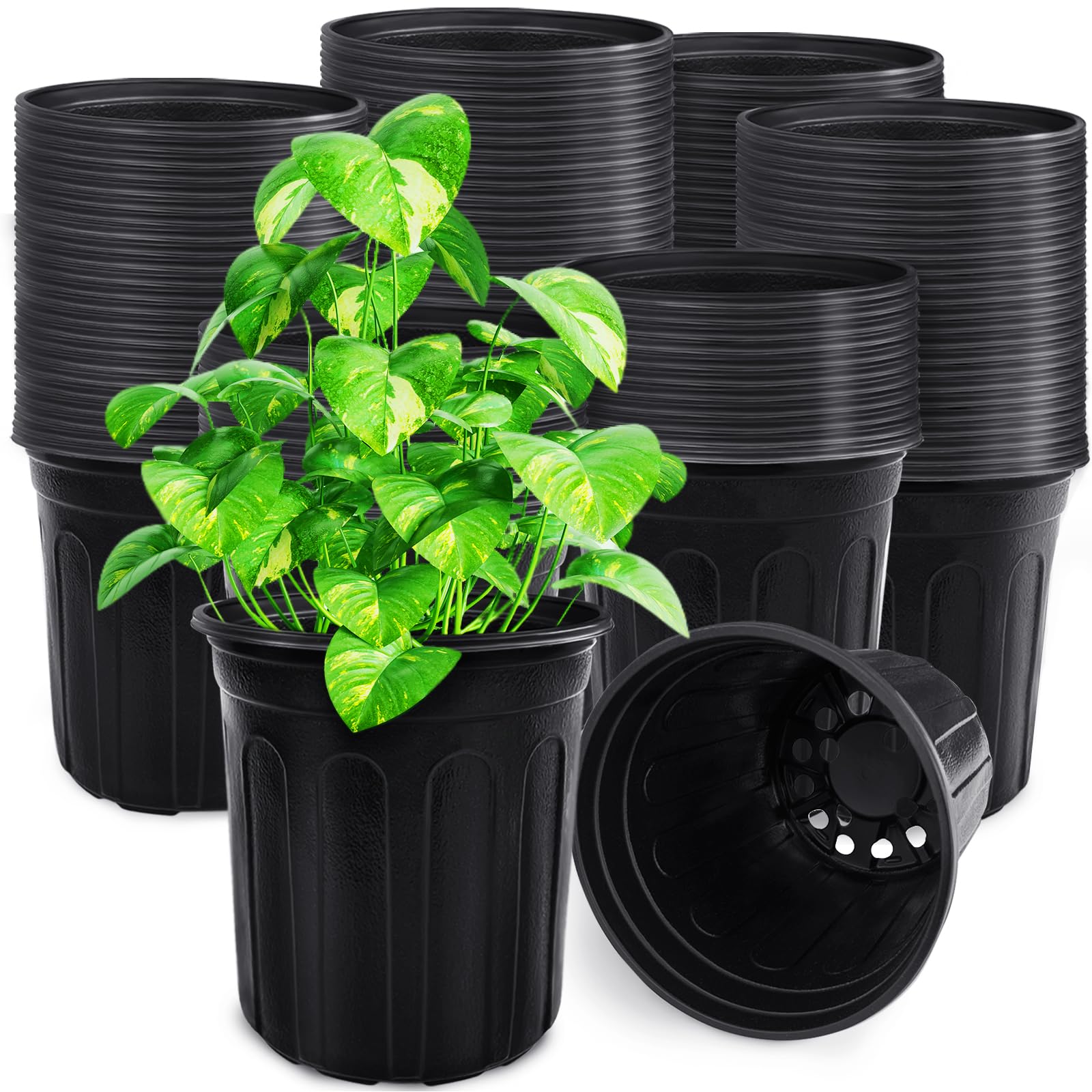Anyumocz 1 gallon nursery pot, front view, durable seedling container with drainage.