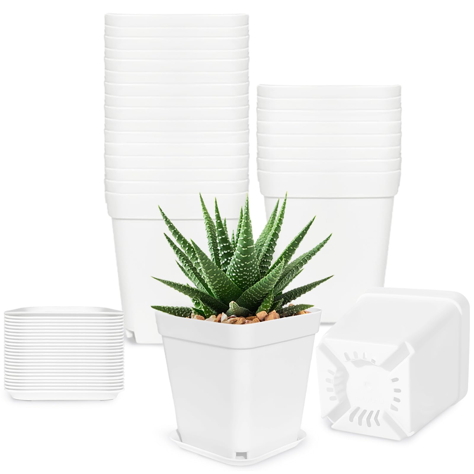 Anyumocz 24-pack square pots top view, ideal for starting seedlings