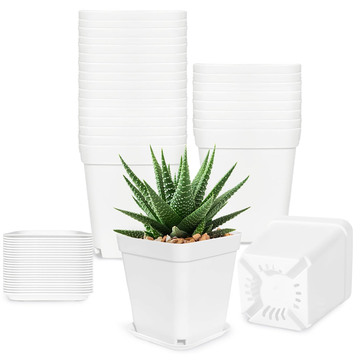 Anyumocz 24-pack square pots top view, ideal for starting seedlings