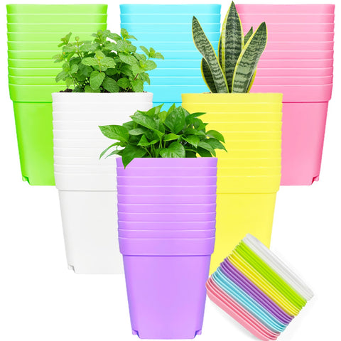 Anyumocz 42PCS square plant pots set, bright multicolor for indoor gardens.