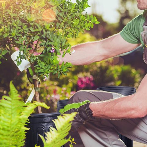 Anyumocz 60-pack nursery pots for versatile home gardening.
