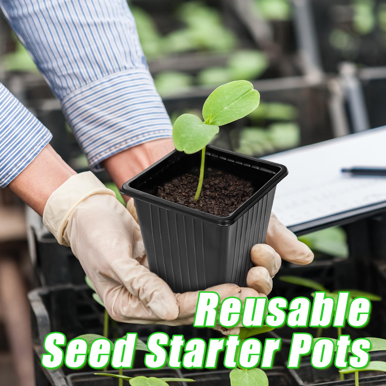 Anyumocz black square nursery pot blends with most setups and provides sturdy support.