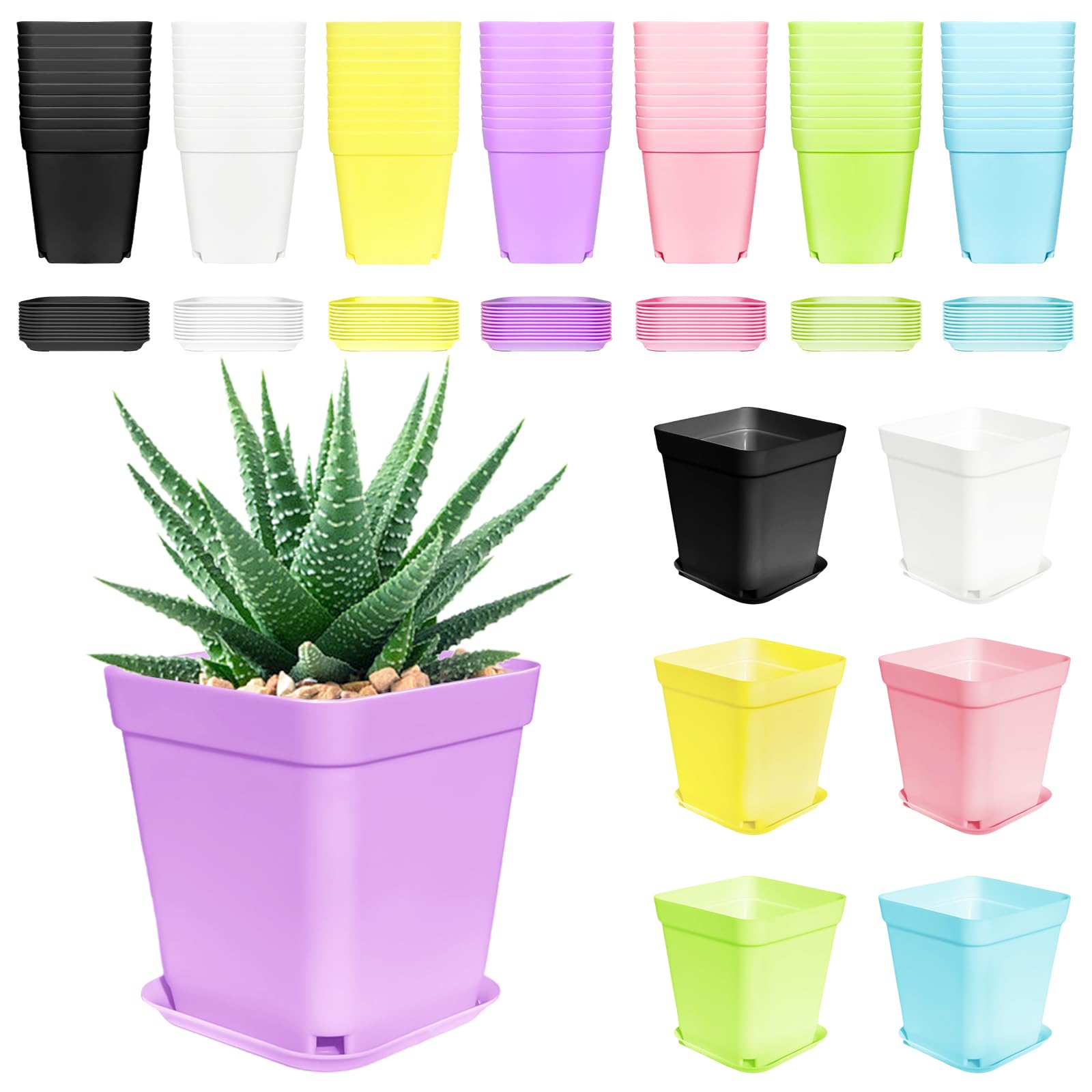Anyumocz colorful plastic plant pot 3-inch, ideal for small succulents and herbs.