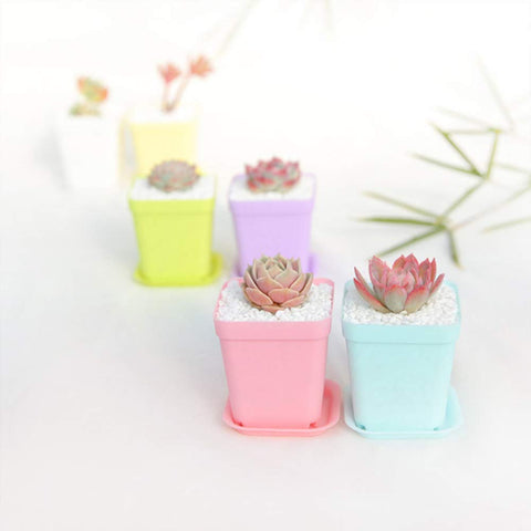 Anyumocz multi-color pots brighten windowsills and balconies while supporting healthy seedling growth.