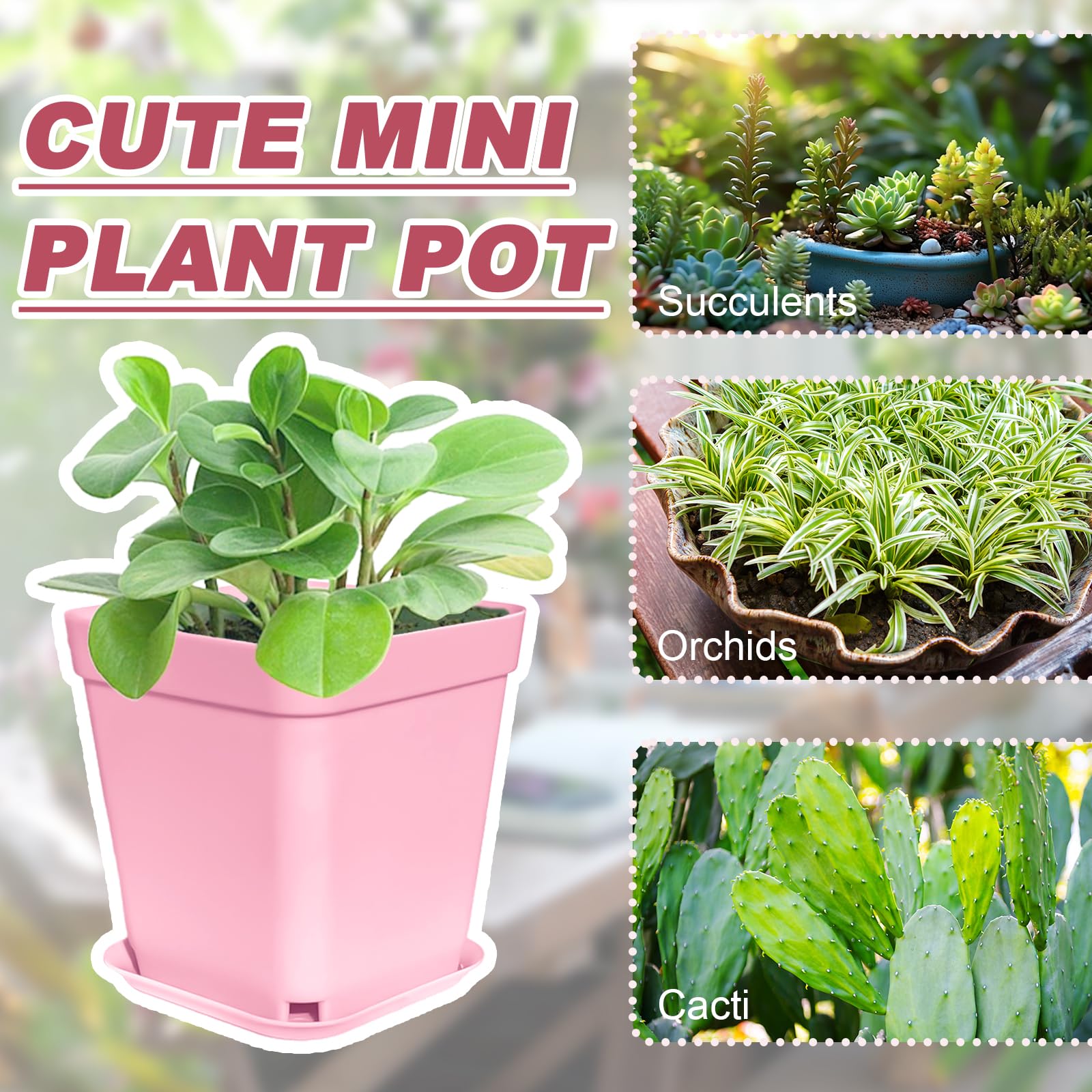 Anyumocz drainage design plastic pot with holes for healthy root airflow.