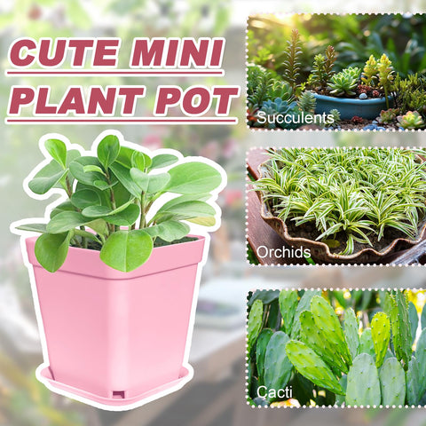 Anyumocz drainage design plastic pot with holes for healthy root airflow.