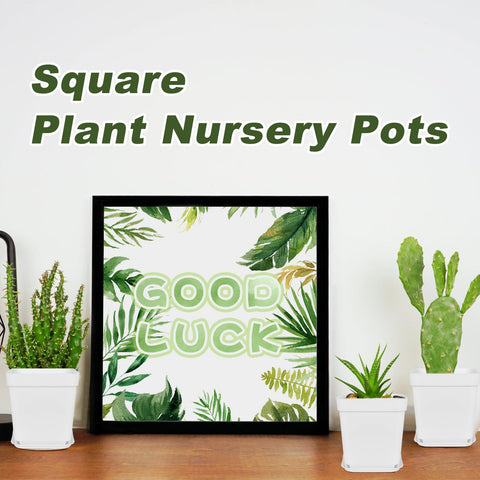 Anyumocz durable plastic plant pots in sun, designed to last through seasons