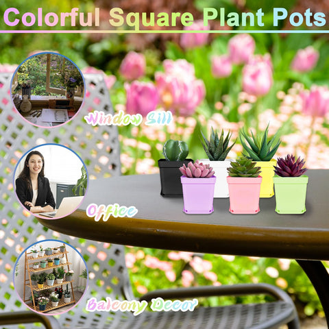 Anyumocz gift-ready gardening pot set, ideal for weddings or DIY projects.