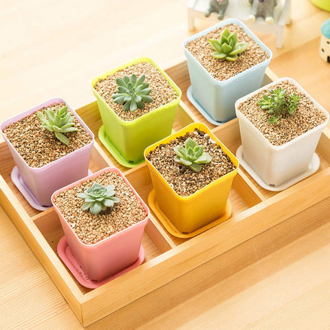 Anyumocz lightweight, durable pots simplify moving plants between space and sunlight.