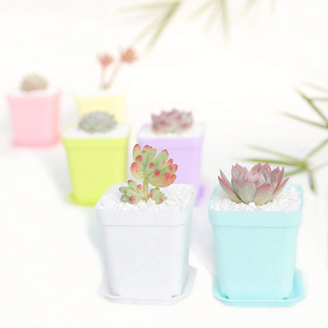 Anyumocz 24-piece set includes saucers to catch excess water and prevent spills.