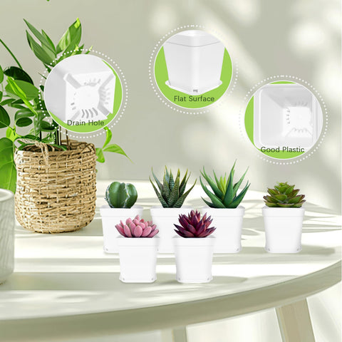 Anyumocz seedling pot drainage holes close-up, promotes soil drain and airflow