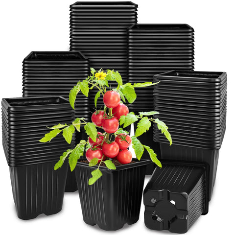 Anyumocz square pot with 4 drainage holes supports healthy seedling drainage.