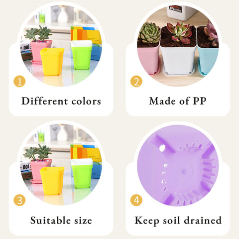 Anyumocz square pot with drainage holes supports healthy root drainage.