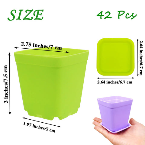 Anyumocz square pot multicolor pack improves windowsill display.