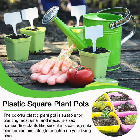 Anyumocz square pot with saucer catches excess water to prevent spills.
