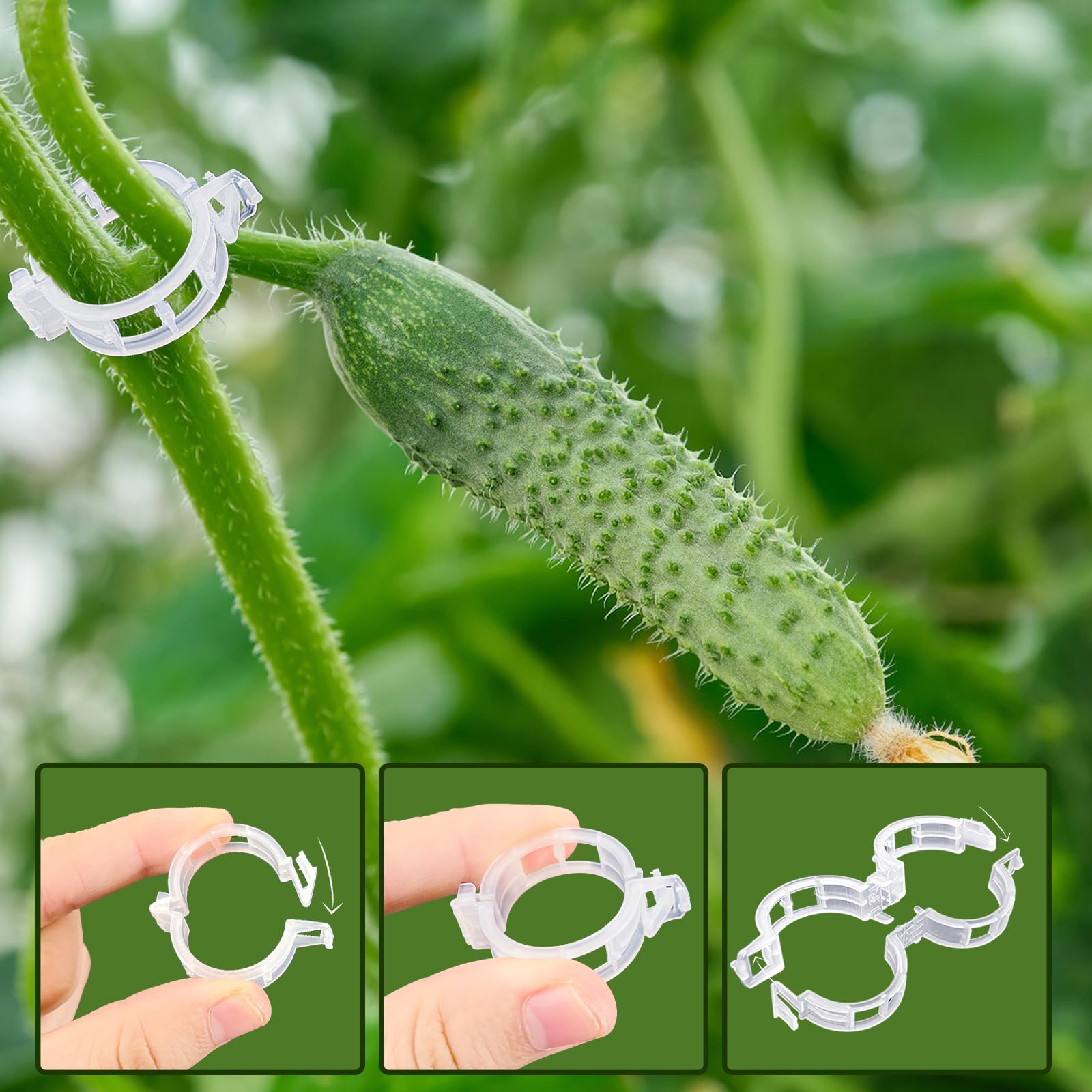 Anyumocz tomato vine support clip keeps stems upright and protected.