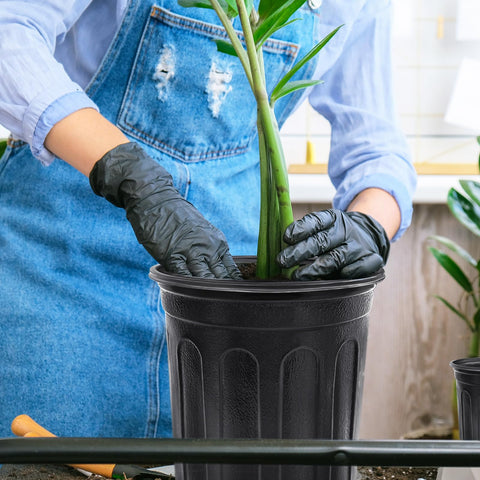 Anyumocz transplanting seedling pot ready for transplanting and nurturing young plants.