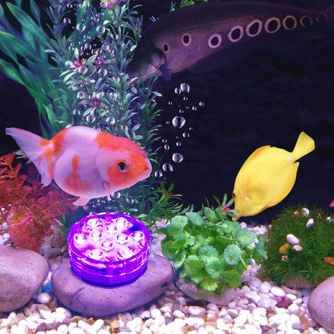Battery powered, Anziner lights run up to 10–12 hours on 3 AAA batteries.