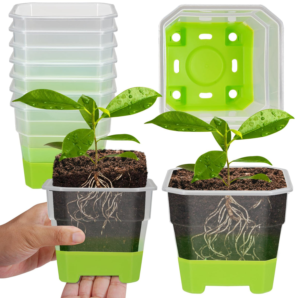 Aobiono 10-pack 4-inch clear nursery pots with silicone base for easy seedling removal