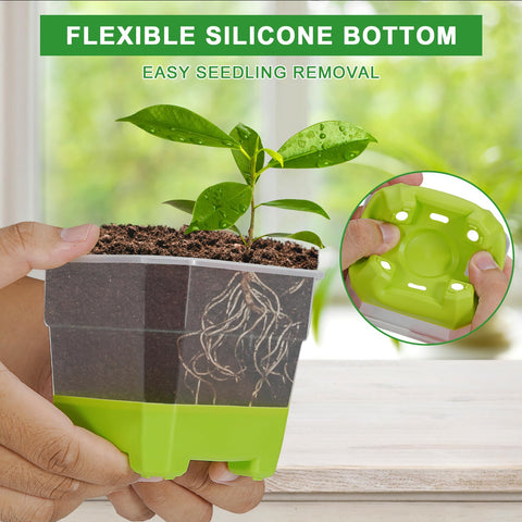 Aobiono clear nursery pot showing root visibility and growth monitoring
