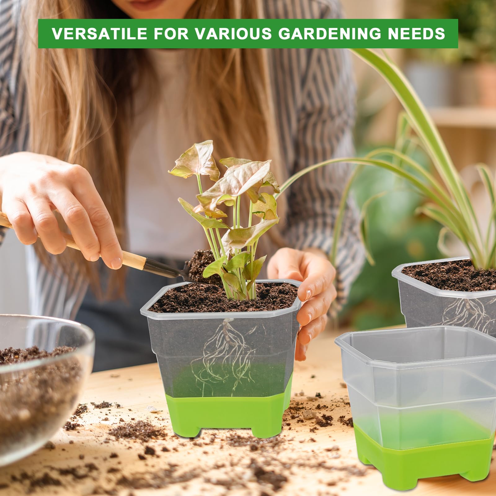 Aobiono easy transplant removal design reduces root disturbance