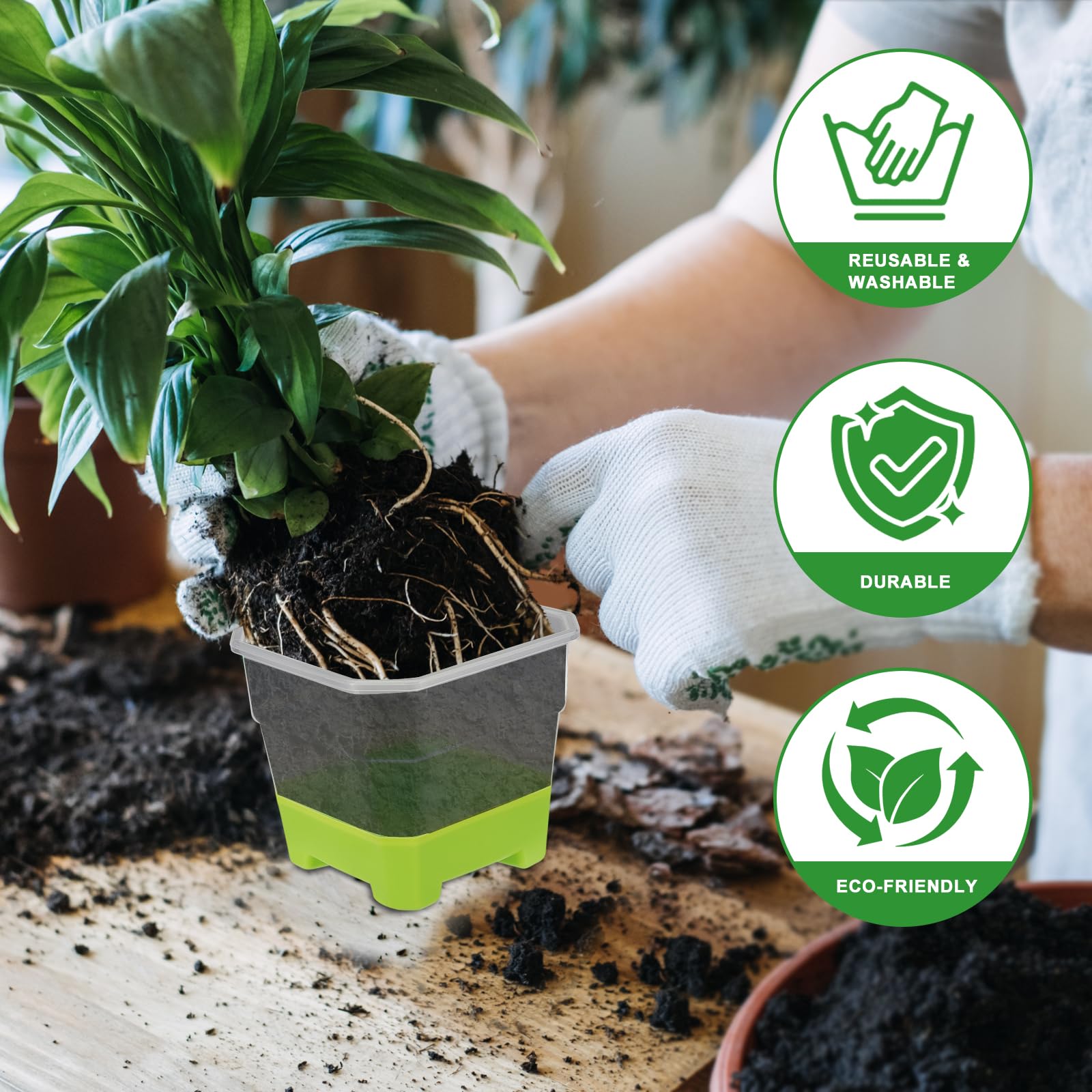 Aobiono pot ideal for home garden plants and succulents