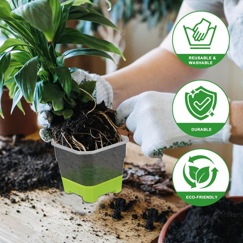 Aobiono pot ideal for home garden plants and succulents