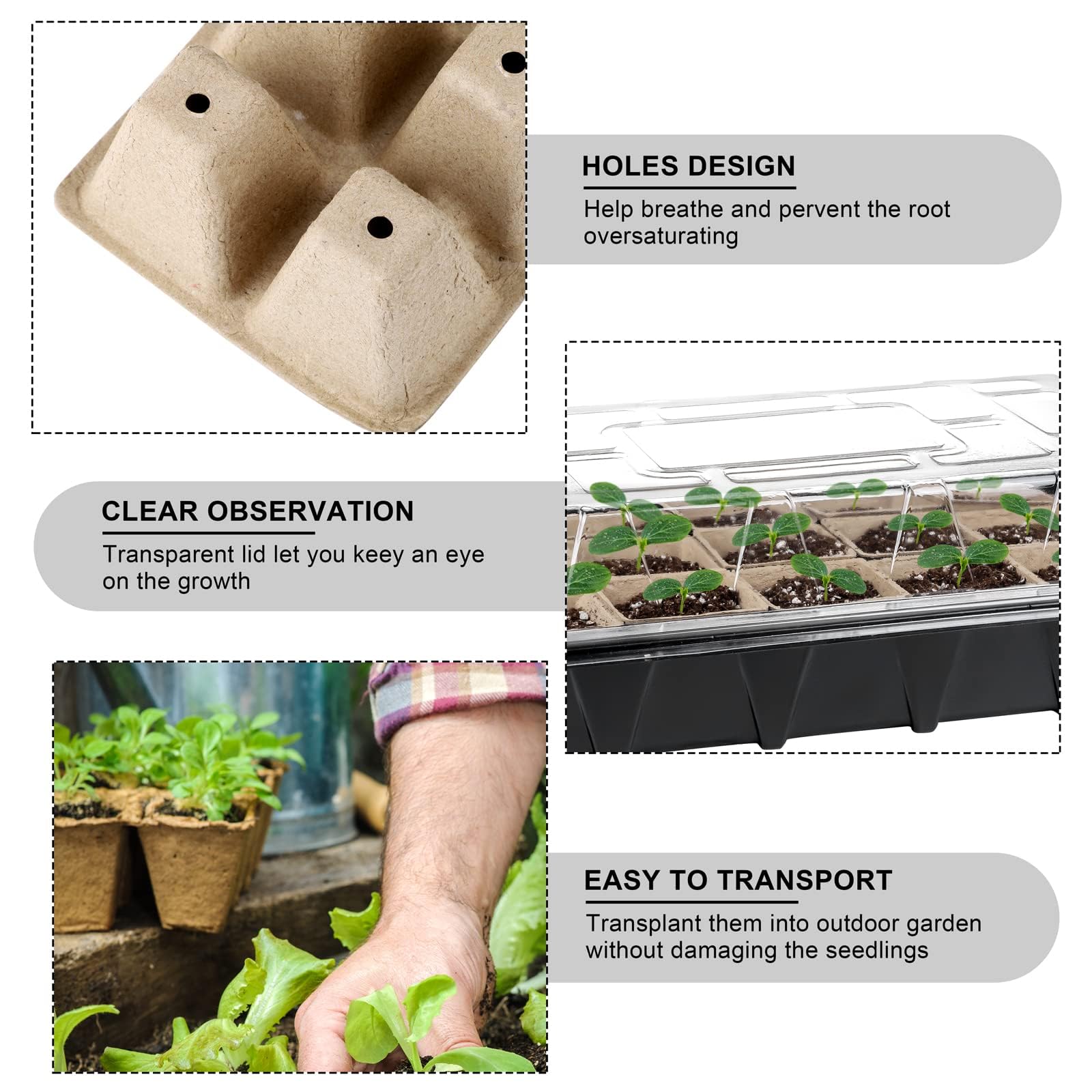 Aodaer plant labels 120-count clearly marking plant varieties.