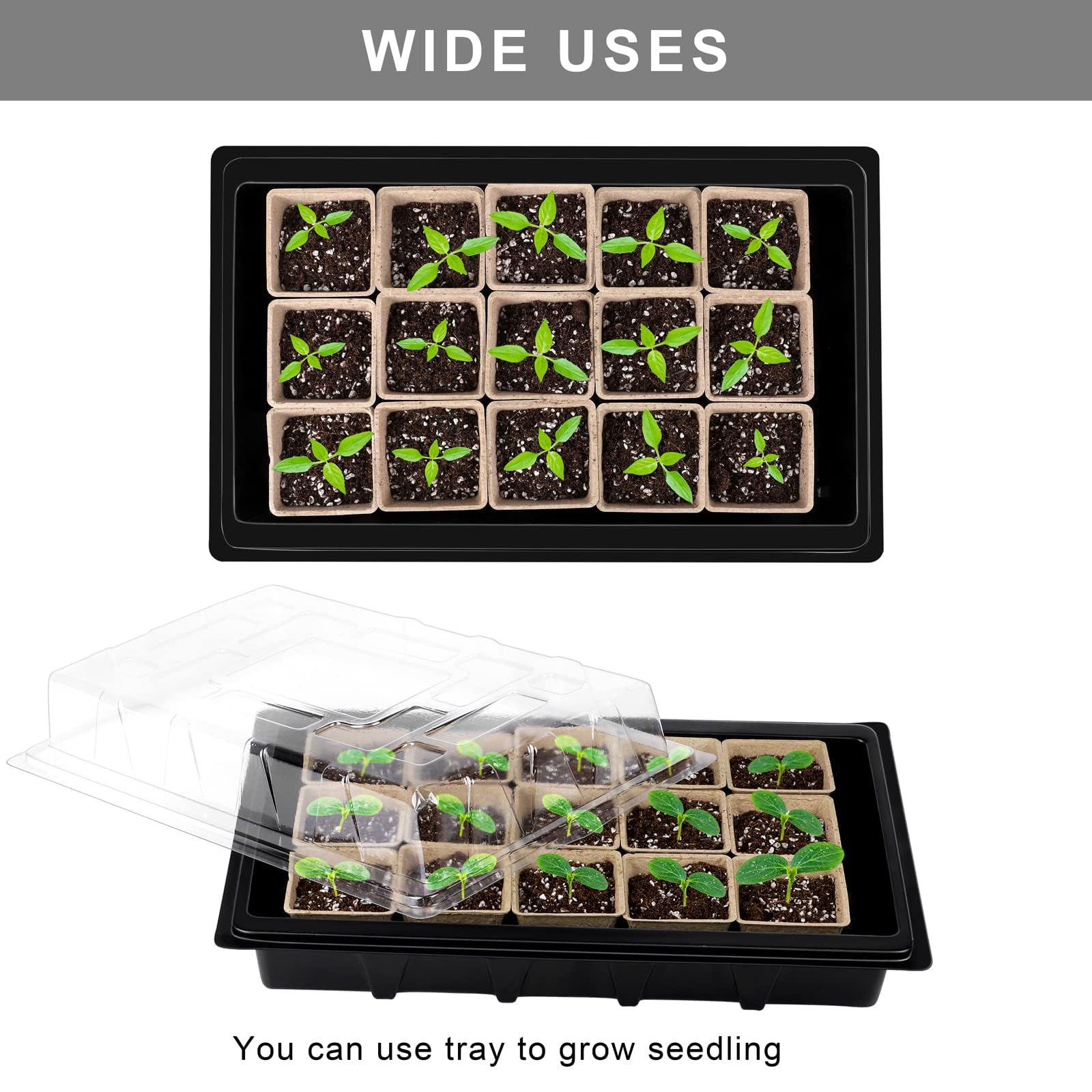 Aodaer transparent lid maintains humidity and warmth during seedling growth