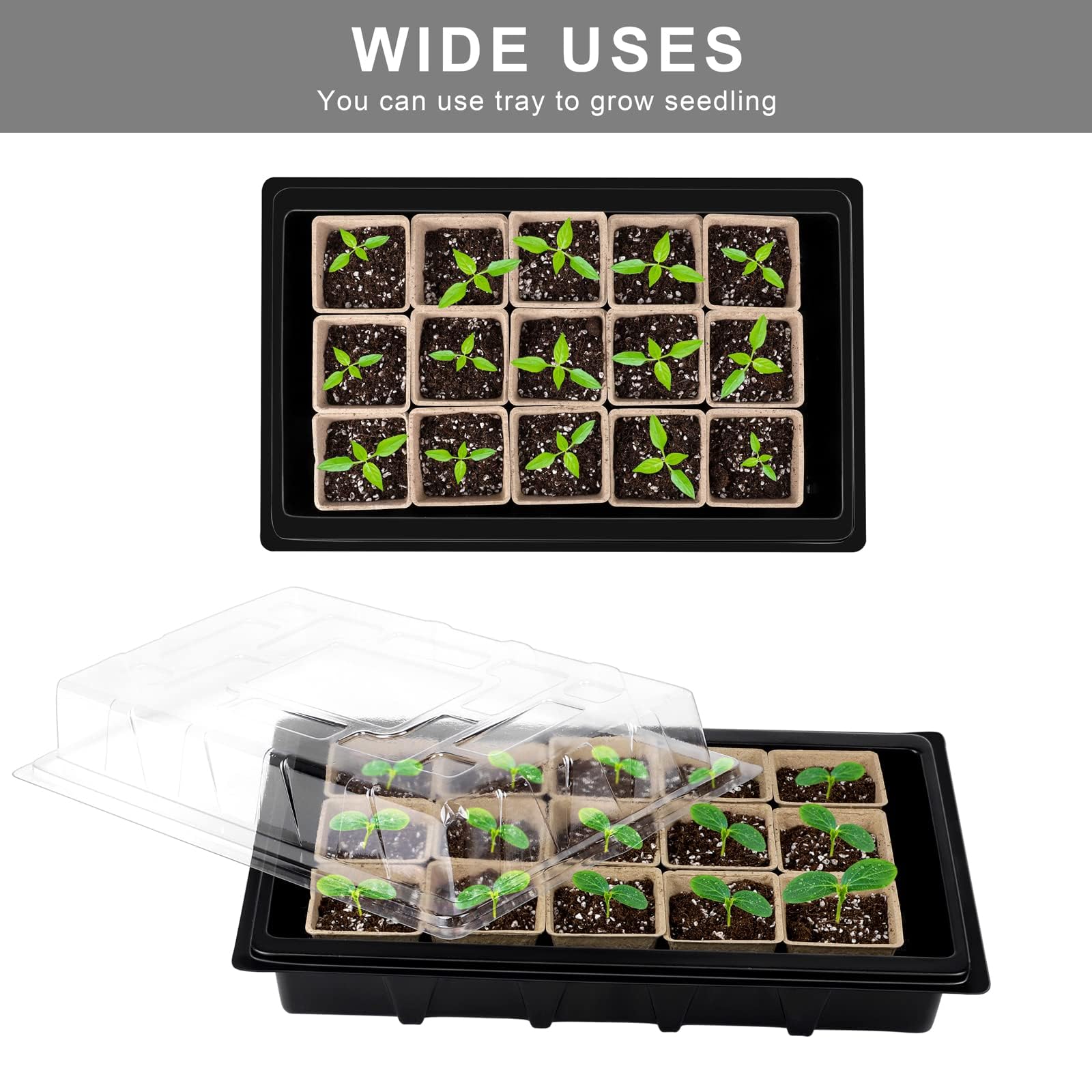 Aodaer transparent lid helps maintain humidity during germination.