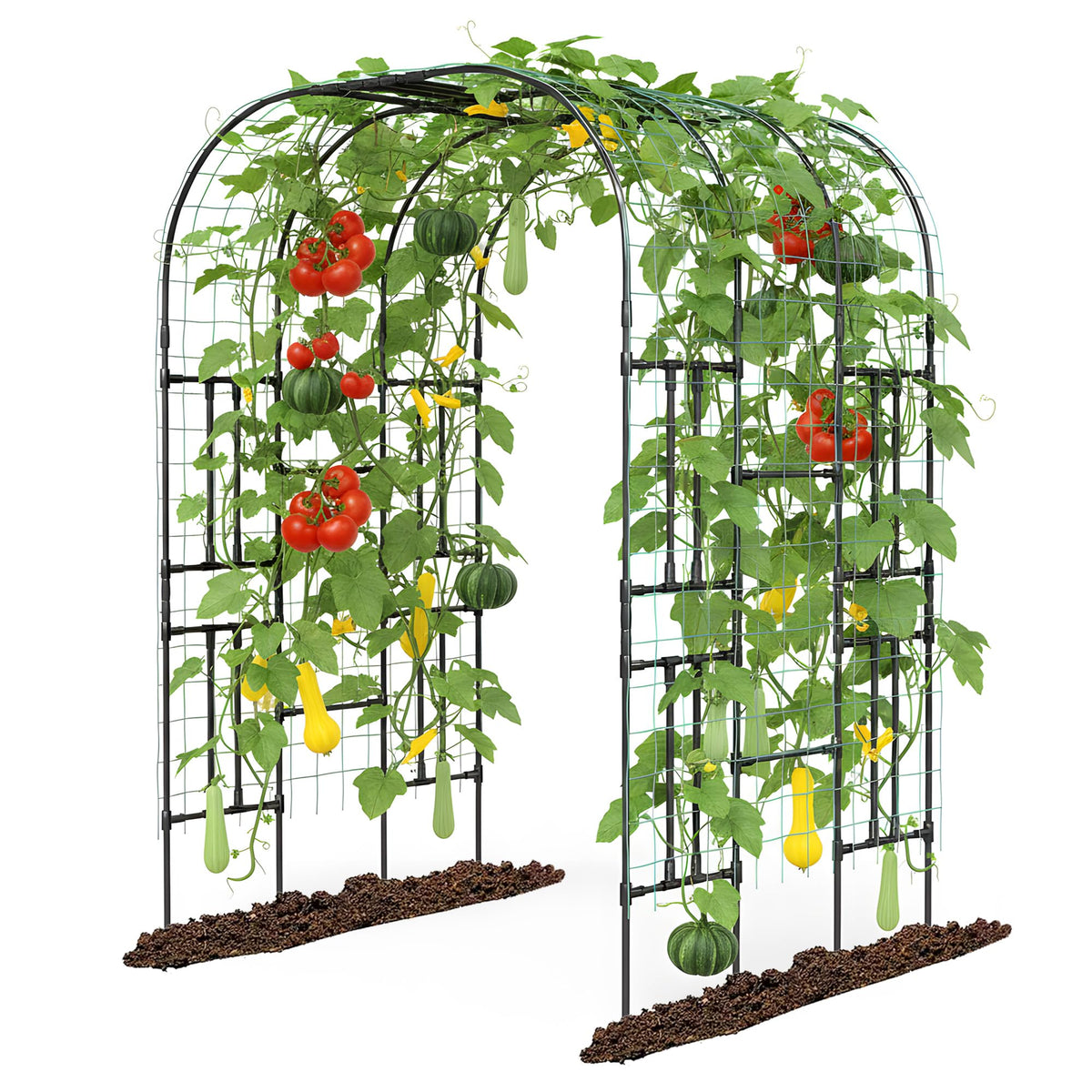 Aohanoi garden arch trellis forms an inviting entrance for climbing vines.