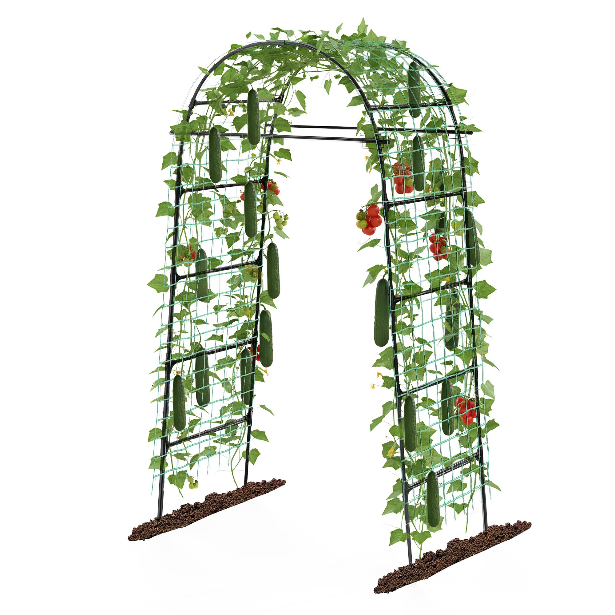 Aohanoi Garden Arch Trellis with a graceful top arch supporting climbing plants.