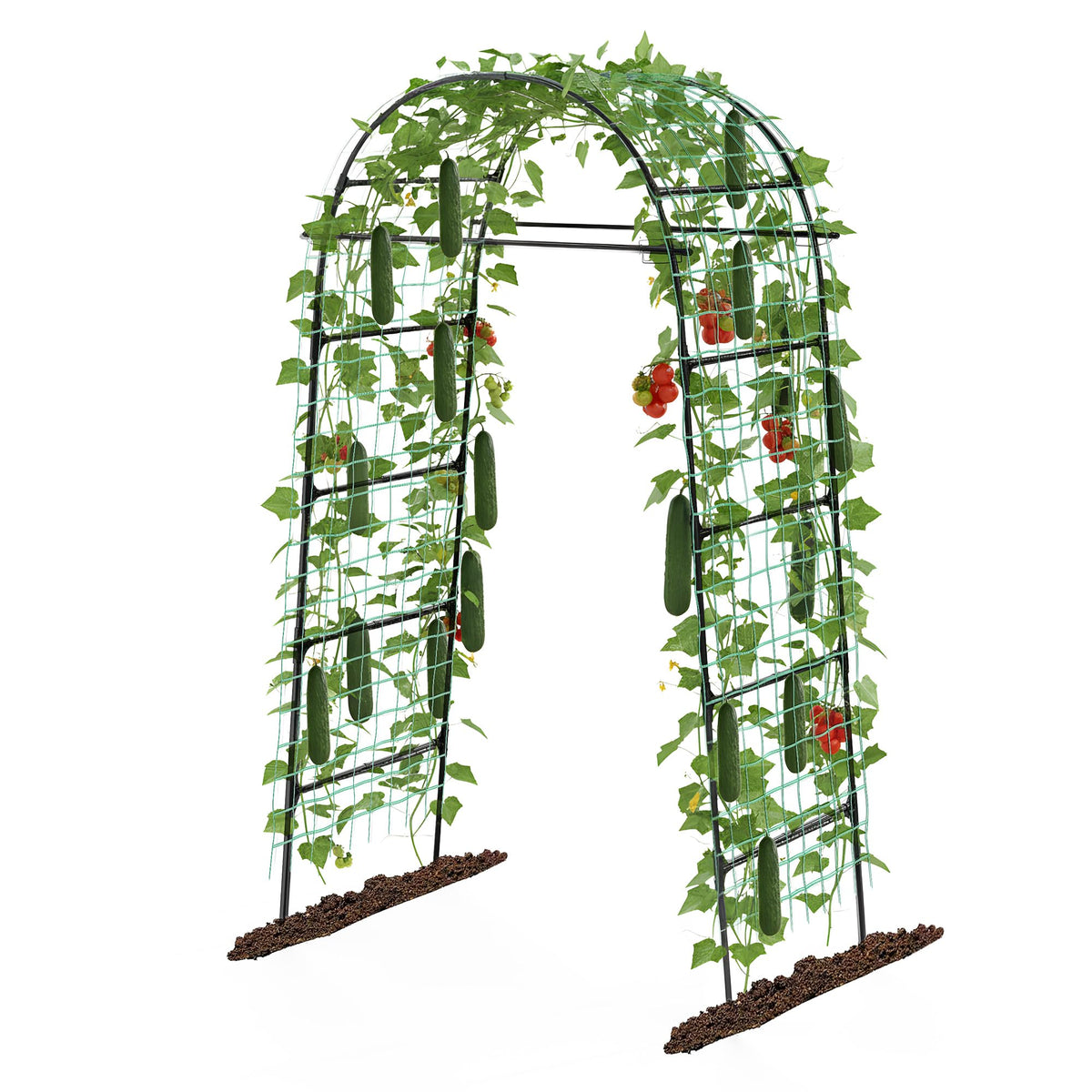 Aohanoi Garden Arch Trellis with a graceful top arch supporting climbing plants.