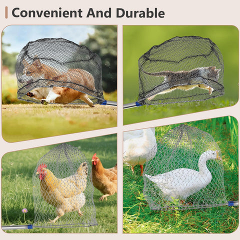 Aoiaute rigid gray net captures poultry with control.