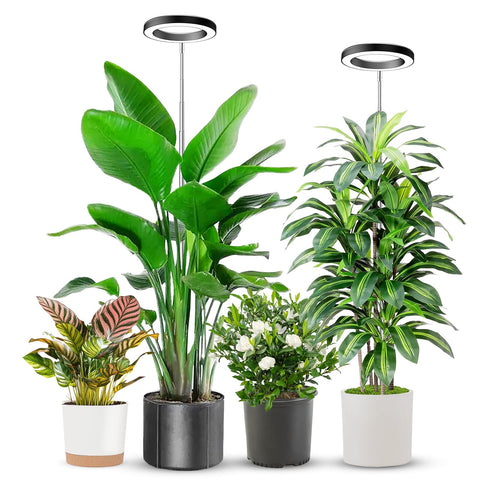 Aokrean 6.3in grow light compact for space-saving seed germination.